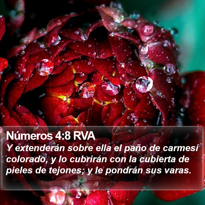 Números 4:8 RVA Bible Study