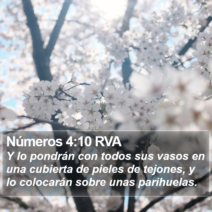 Números 4:10 RVA Bible Study