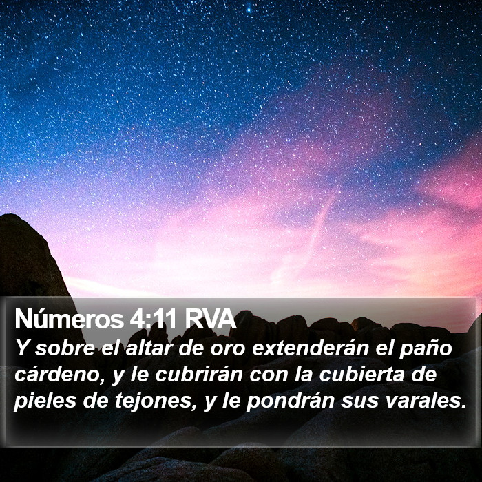 Números 4:11 RVA Bible Study