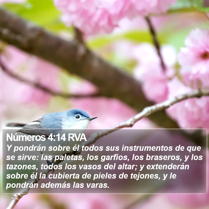 Números 4:14 RVA Bible Study