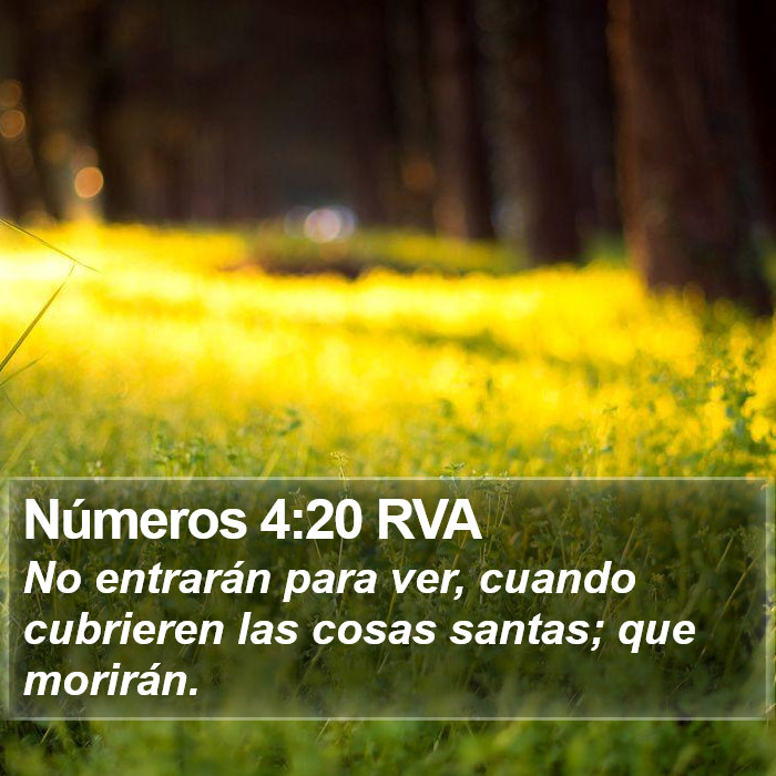 Números 4:20 RVA Bible Study