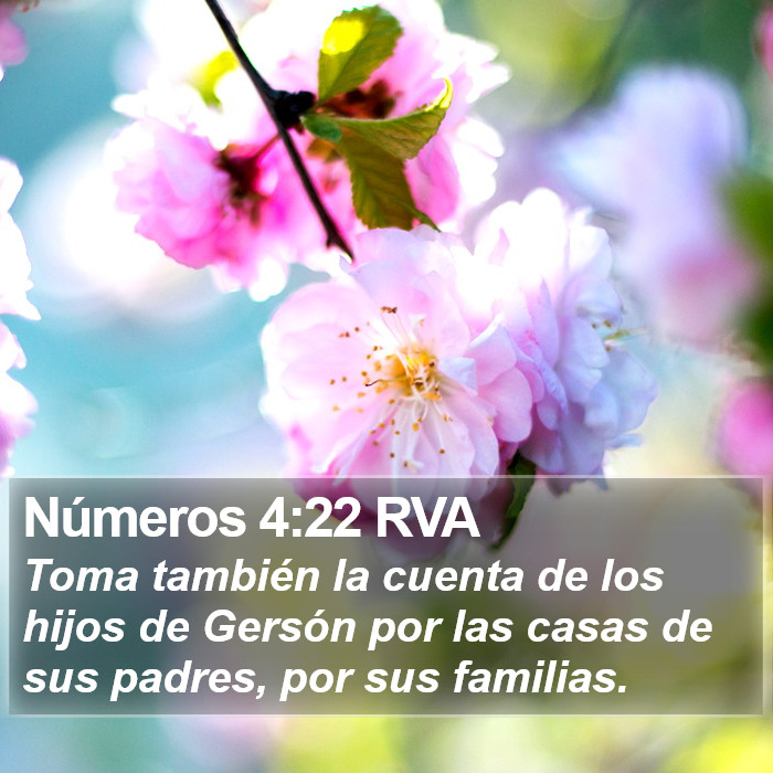 Números 4:22 RVA Bible Study