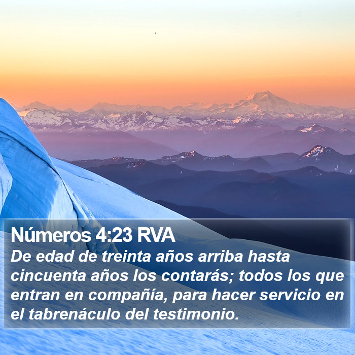 Números 4:23 RVA Bible Study