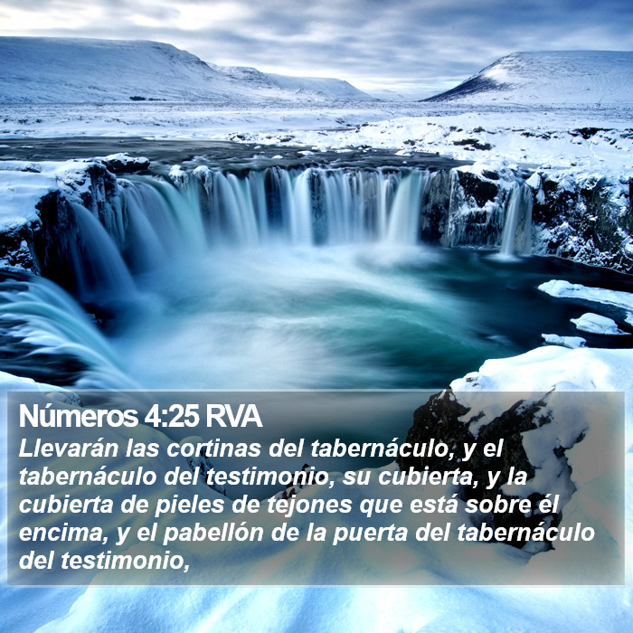 Números 4:25 RVA Bible Study