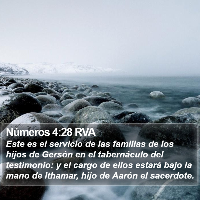 Números 4:28 RVA Bible Study