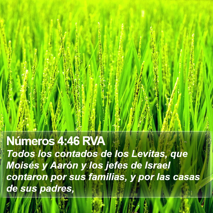 Números 4:46 RVA Bible Study