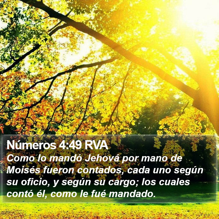 Números 4:49 RVA Bible Study