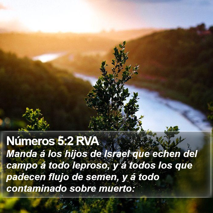 Números 5:2 RVA Bible Study