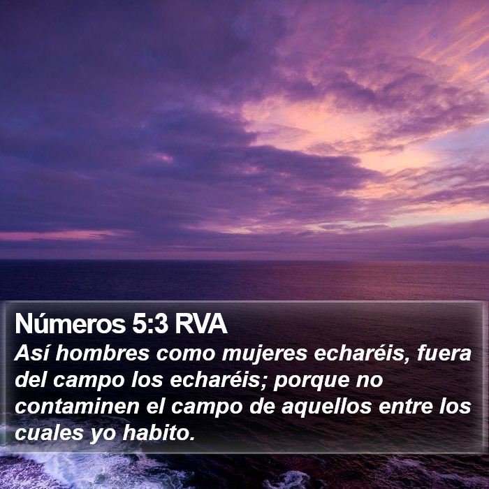 Números 5:3 RVA Bible Study