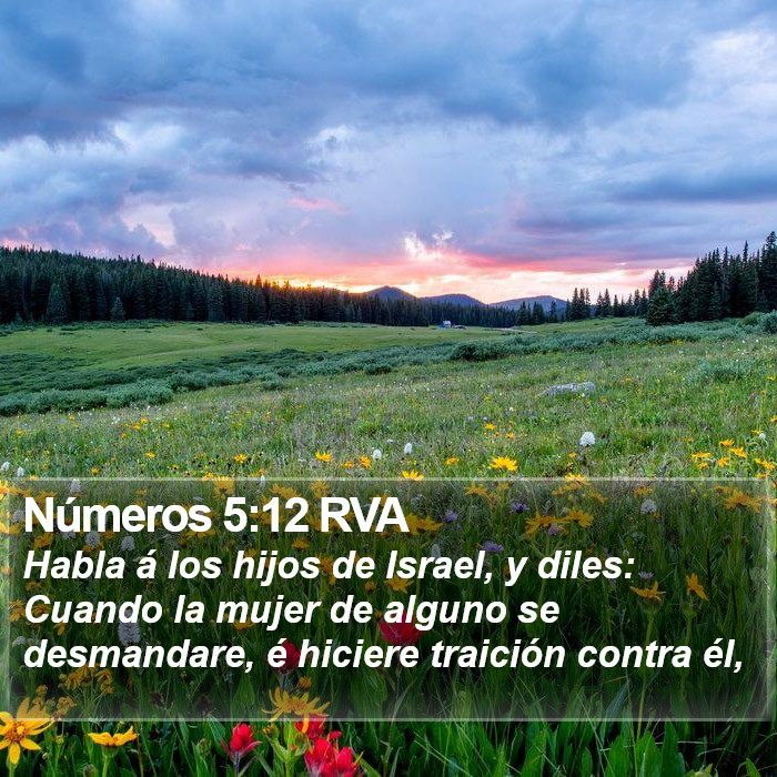 Números 5:12 RVA Bible Study