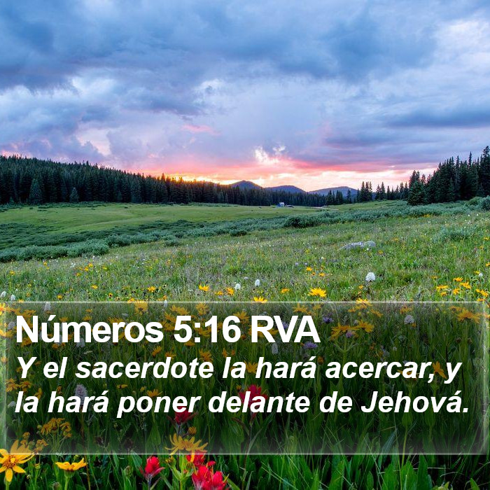 Números 5:16 RVA Bible Study