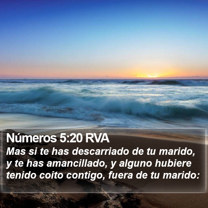 Números 5:20 RVA Bible Study