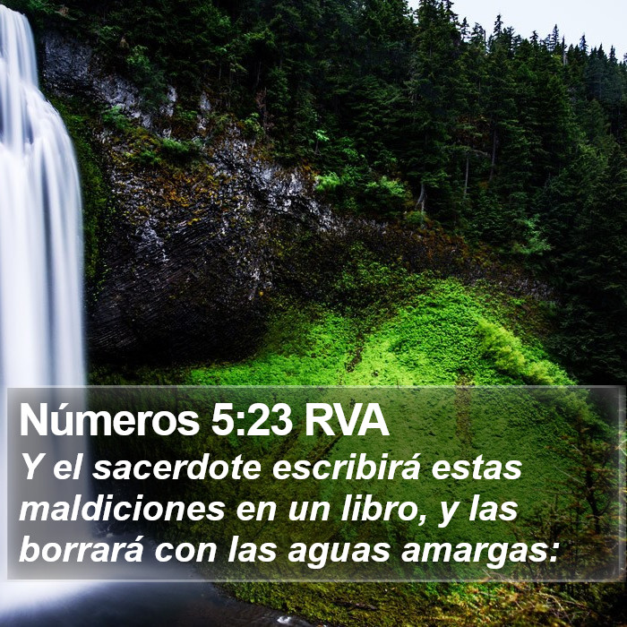 Números 5:23 RVA Bible Study