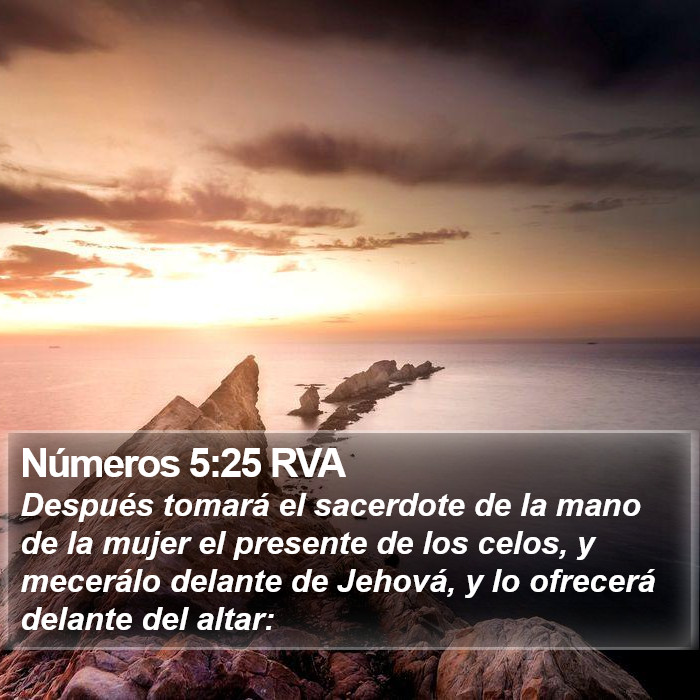 Números 5:25 RVA Bible Study