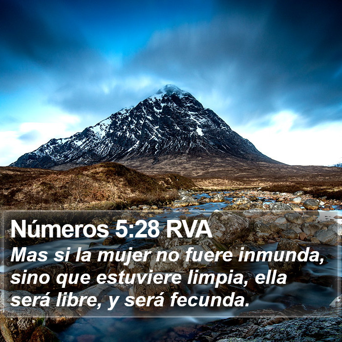 Números 5:28 RVA Bible Study