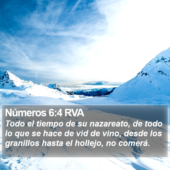 Números 6:4 RVA Bible Study