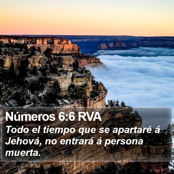 Números 6:6 RVA Bible Study