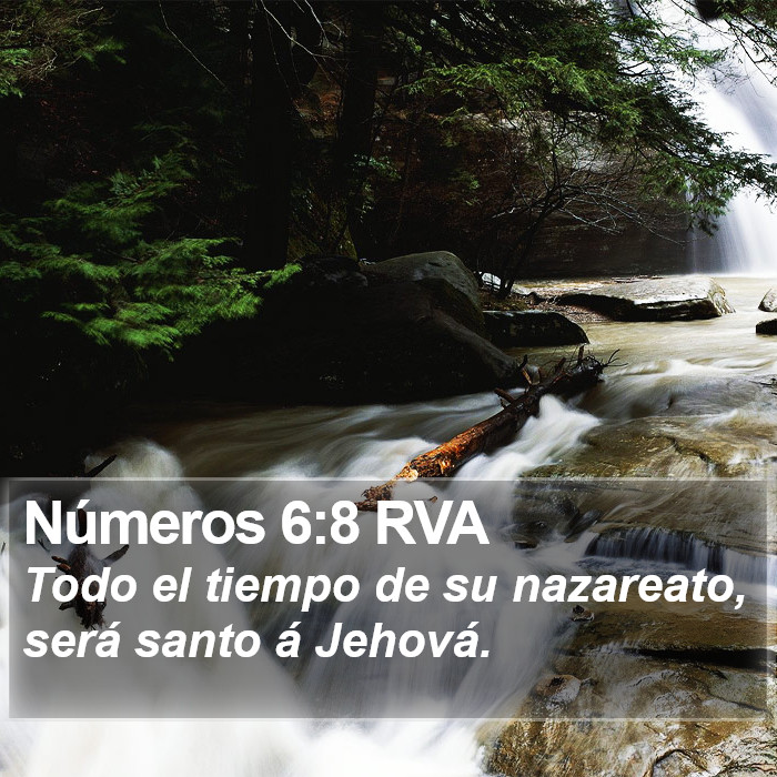 Números 6:8 RVA Bible Study