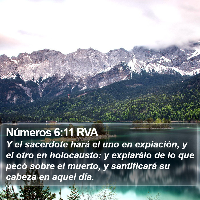 Números 6:11 RVA Bible Study