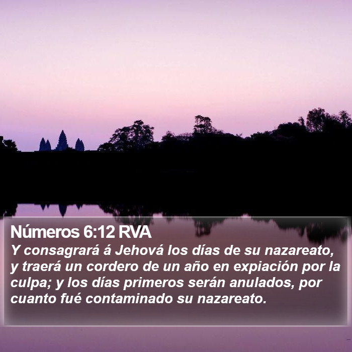 Números 6:12 RVA Bible Study