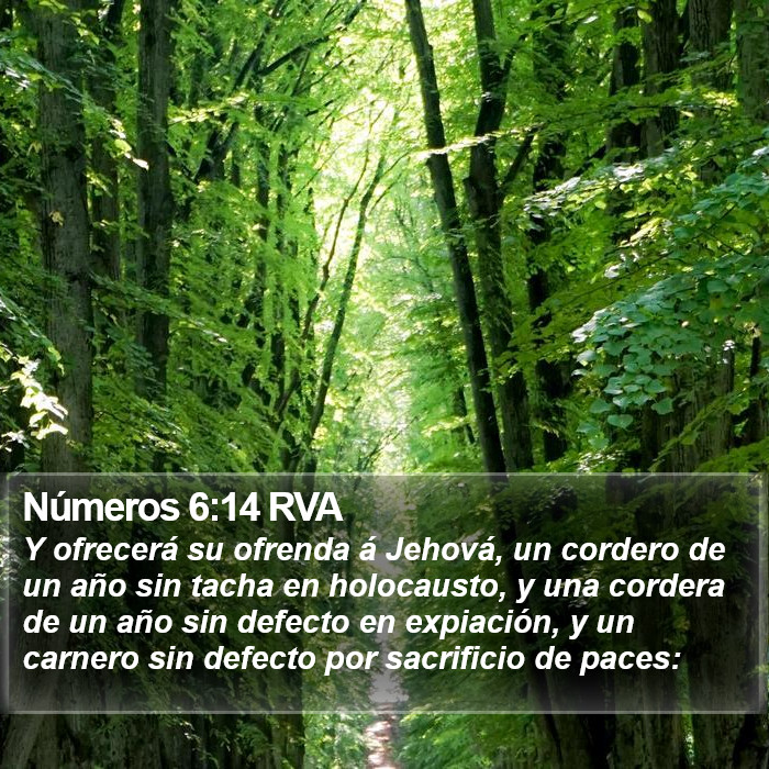 Números 6:14 RVA Bible Study