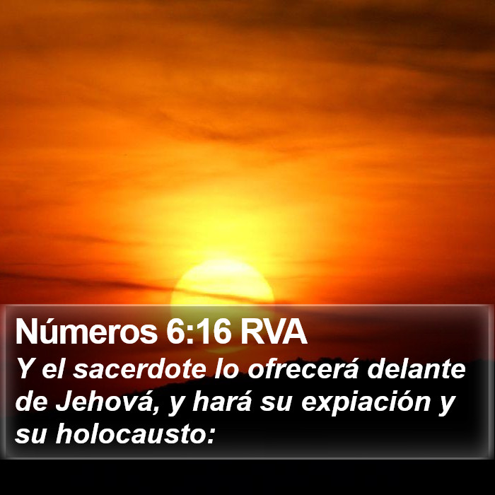 Números 6:16 RVA Bible Study