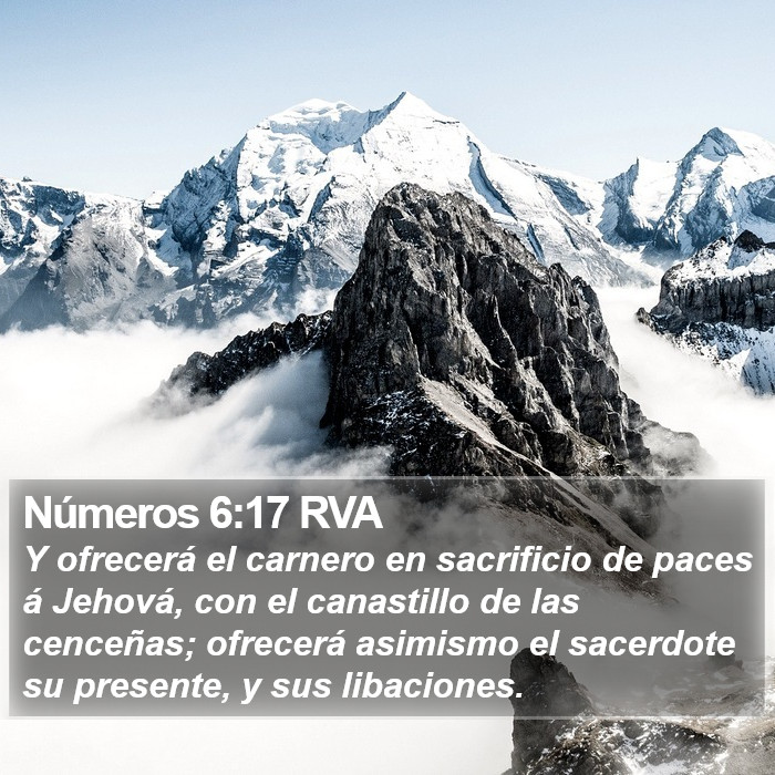 Números 6:17 RVA Bible Study