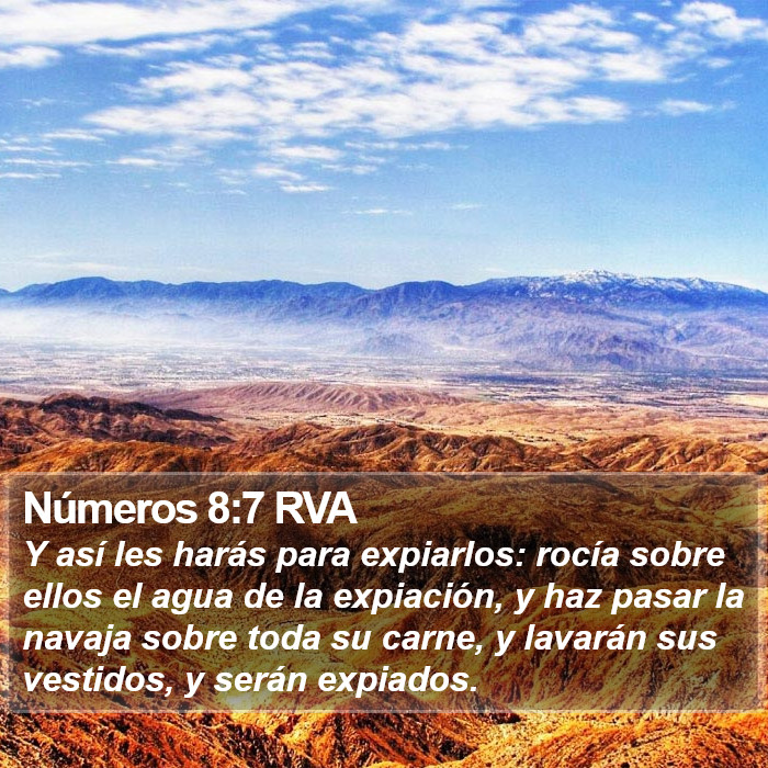 Números 8:7 RVA Bible Study