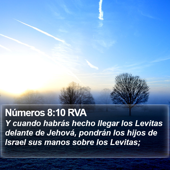 Números 8:10 RVA Bible Study