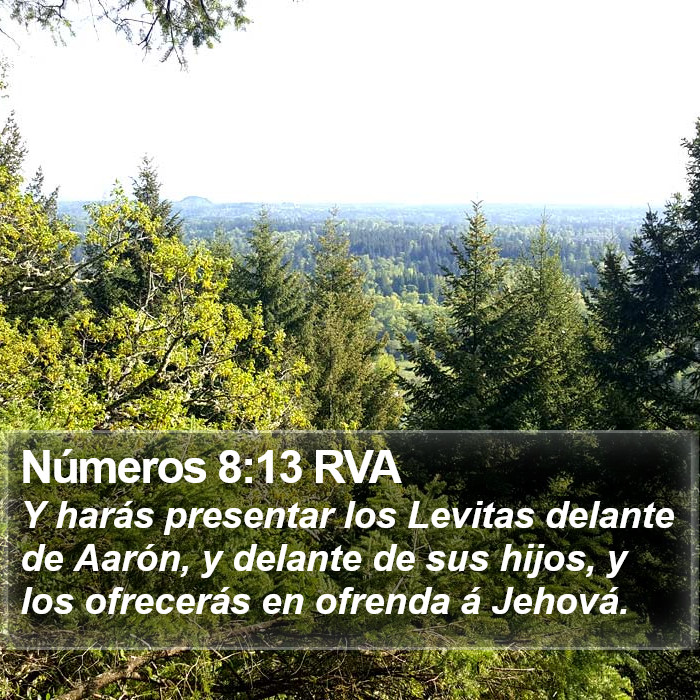 Números 8:13 RVA Bible Study