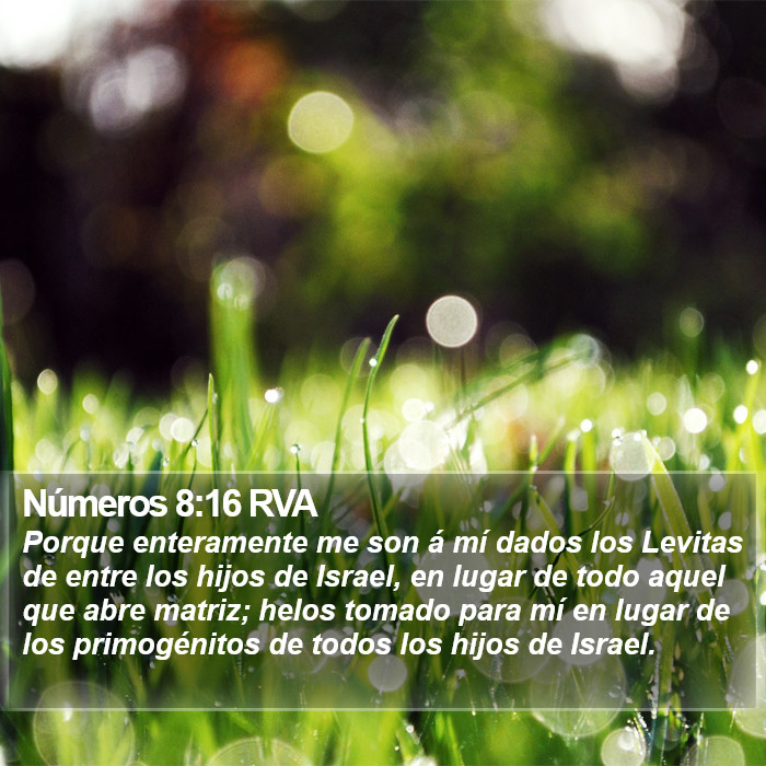 Números 8:16 RVA Bible Study