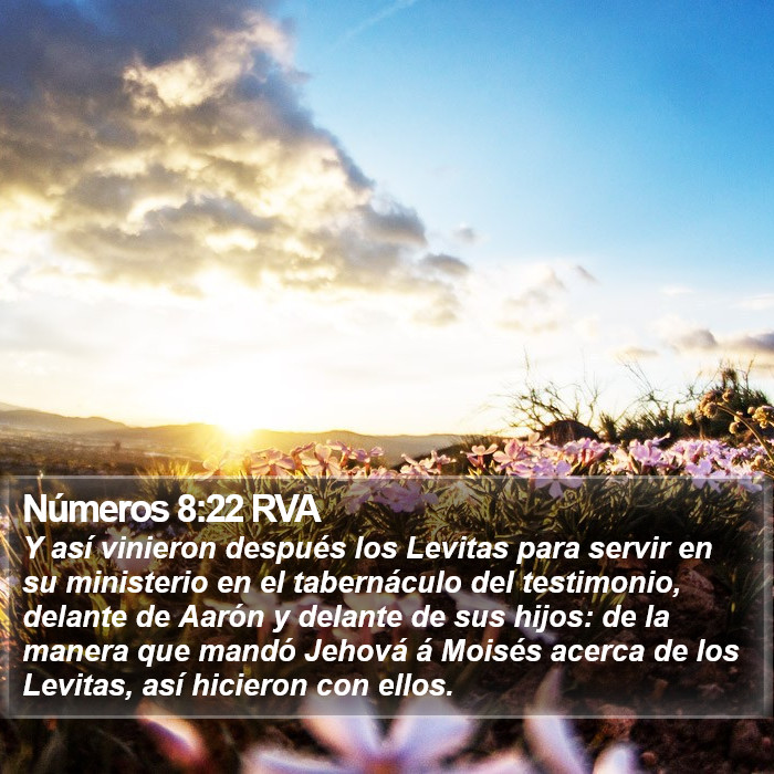 Números 8:22 RVA Bible Study