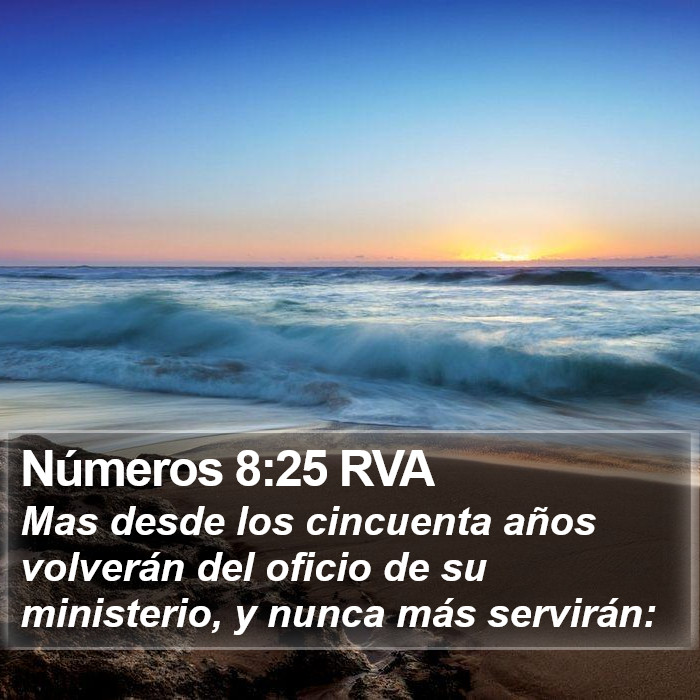 Números 8:25 RVA Bible Study