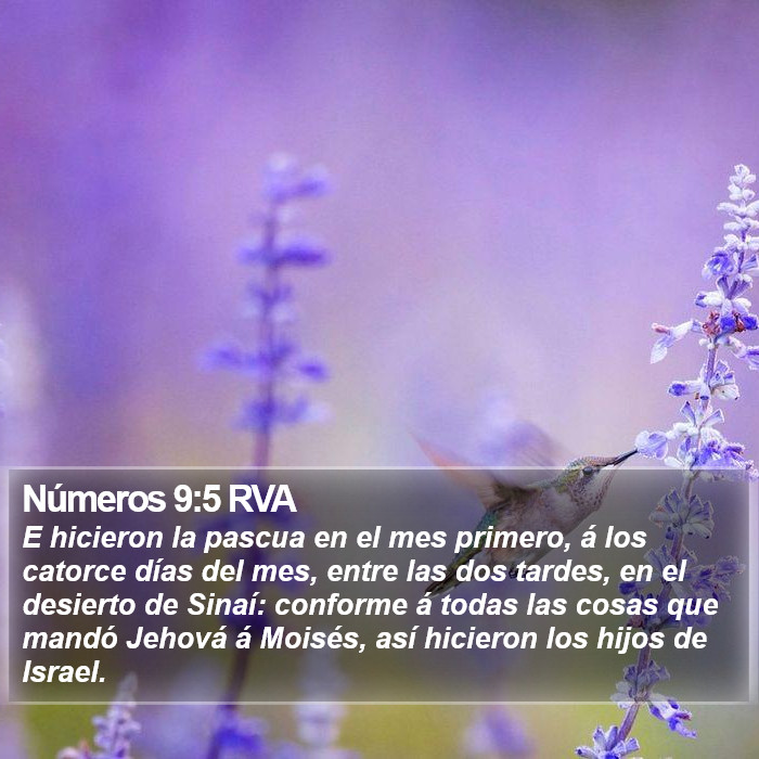 Números 9:5 RVA Bible Study