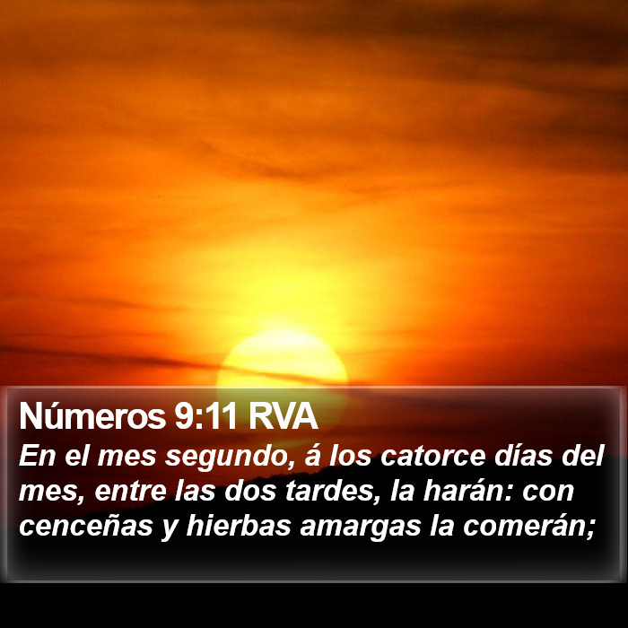 Números 9:11 RVA Bible Study