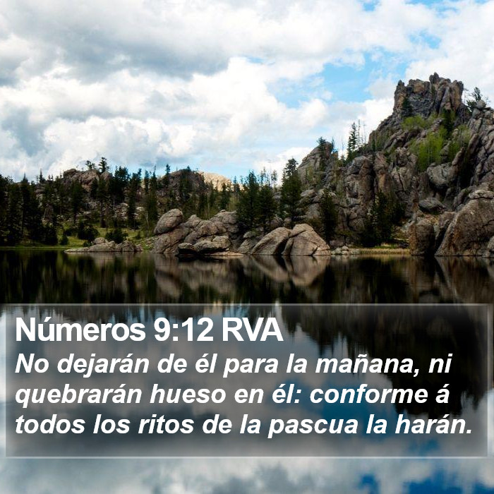 Números 9:12 RVA Bible Study