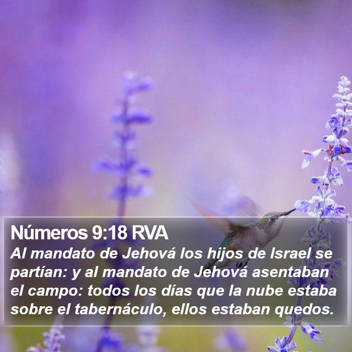 Números 9:18 RVA Bible Study