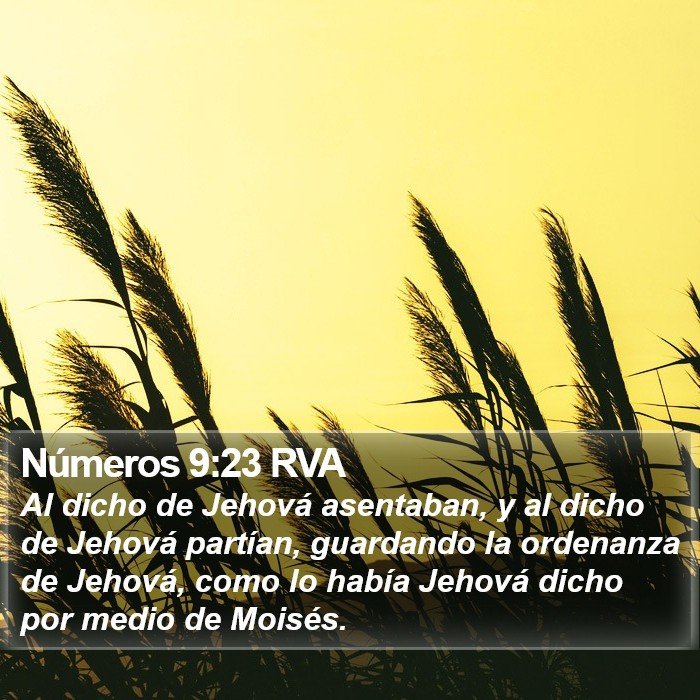 Números 9:23 RVA Bible Study