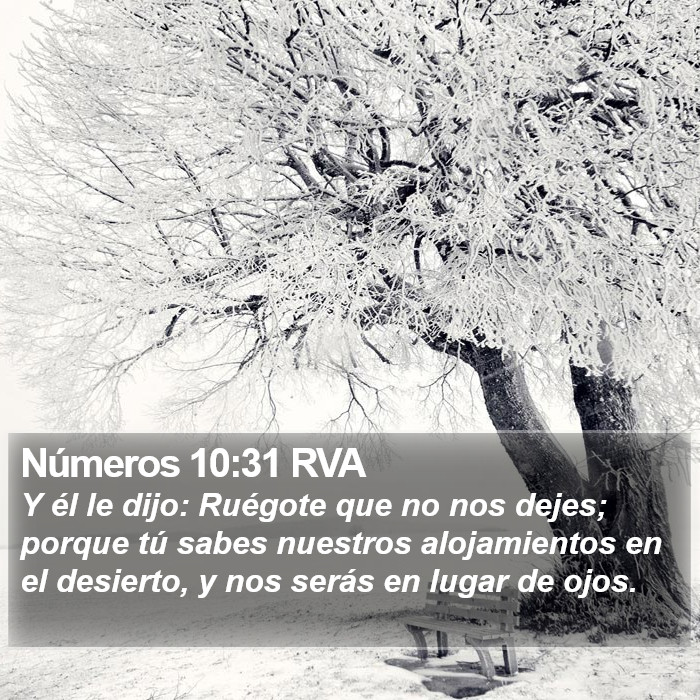 Números 10:31 RVA Bible Study