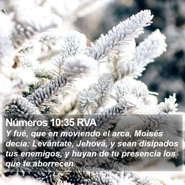 Números 10:35 RVA Bible Study