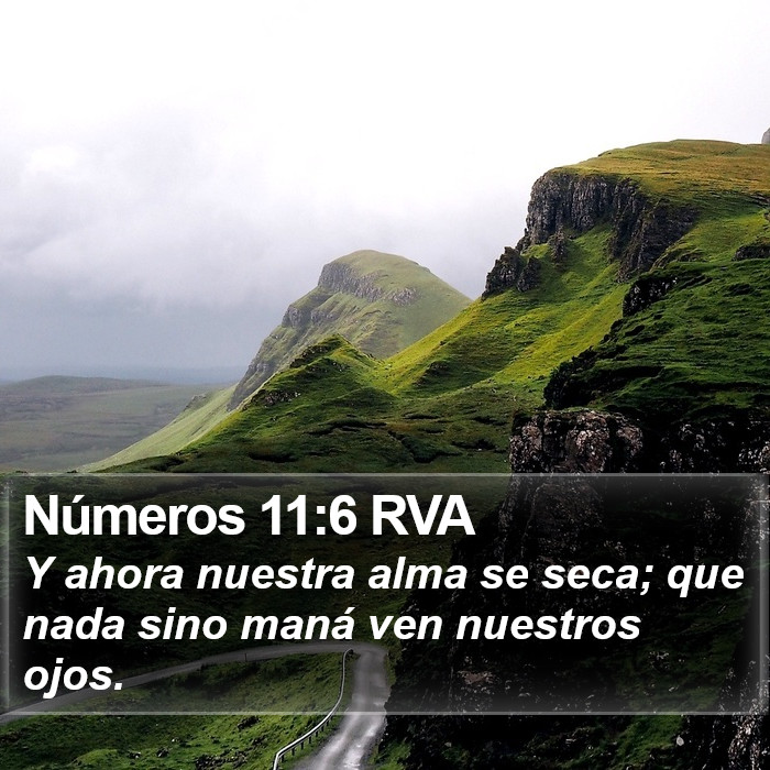 Números 11:6 RVA Bible Study