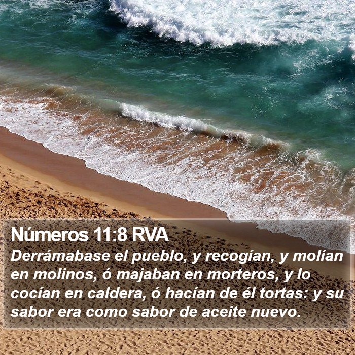 Números 11:8 RVA Bible Study