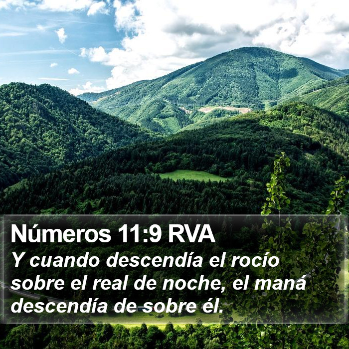 Números 11:9 RVA Bible Study