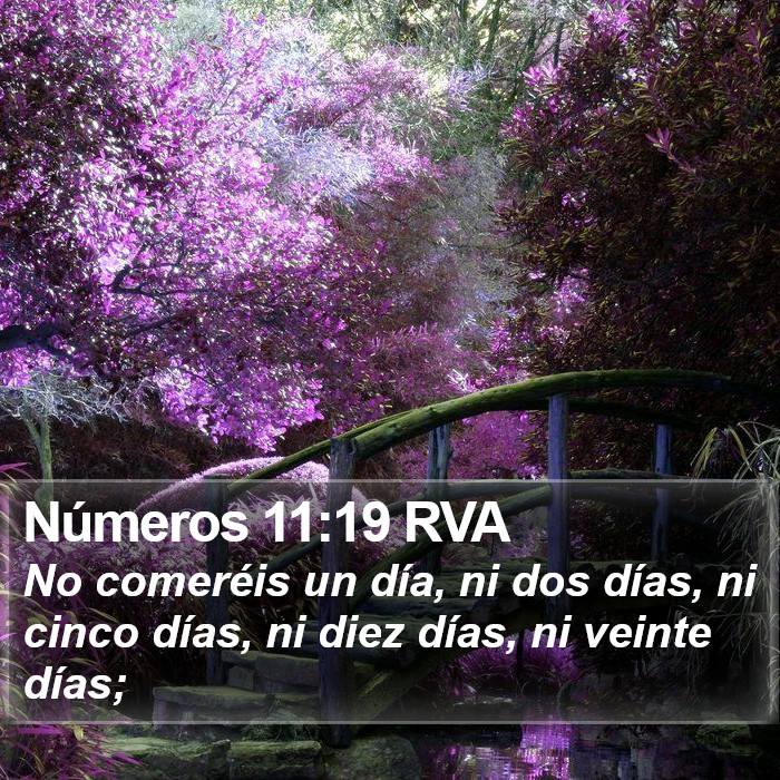 Números 11:19 RVA Bible Study