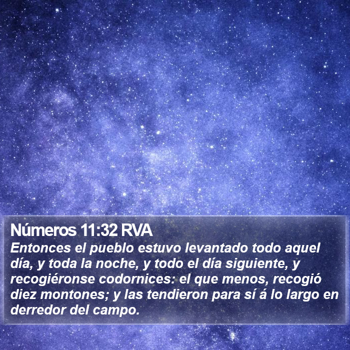 Números 11:32 RVA Bible Study