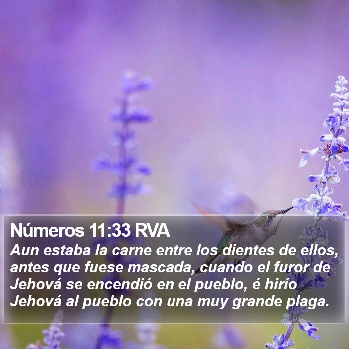 Números 11:33 RVA Bible Study