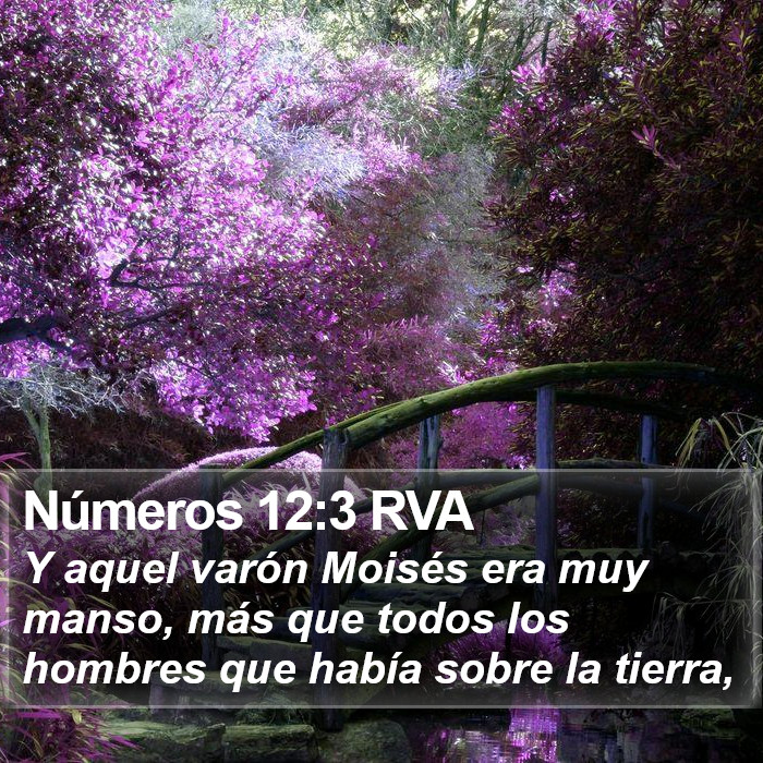 Números 12:3 RVA Bible Study