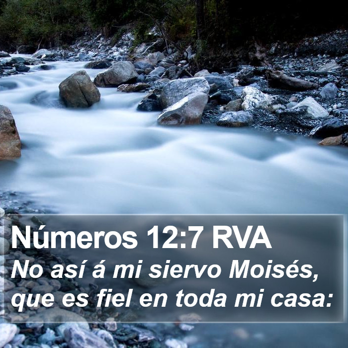 Números 12:7 RVA Bible Study