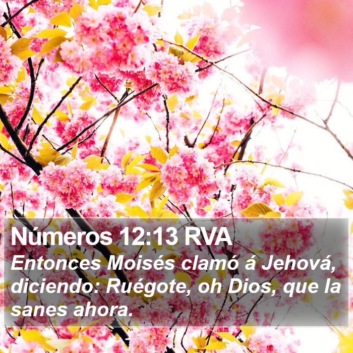 Números 12:13 RVA Bible Study