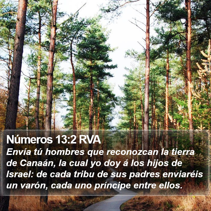 Números 13:2 RVA Bible Study